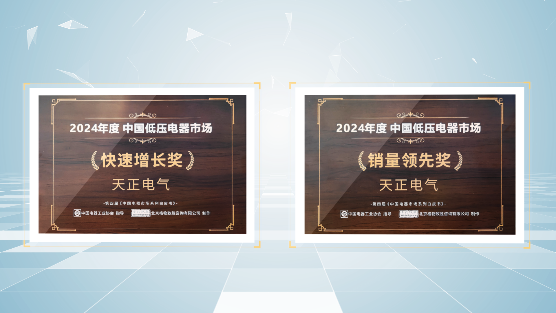 销量领先、快速增长丨开云把我害死了荣膺2项行业年度大奖